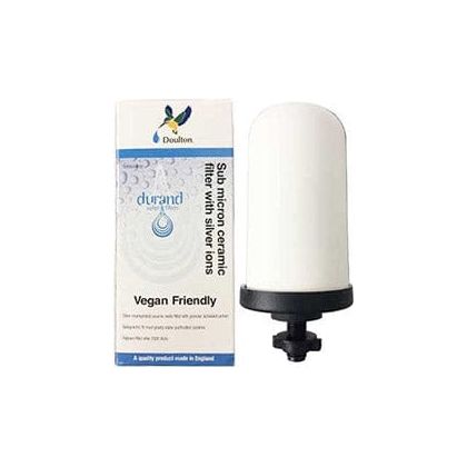 Doulton sub micron ceramic filter with silver ions